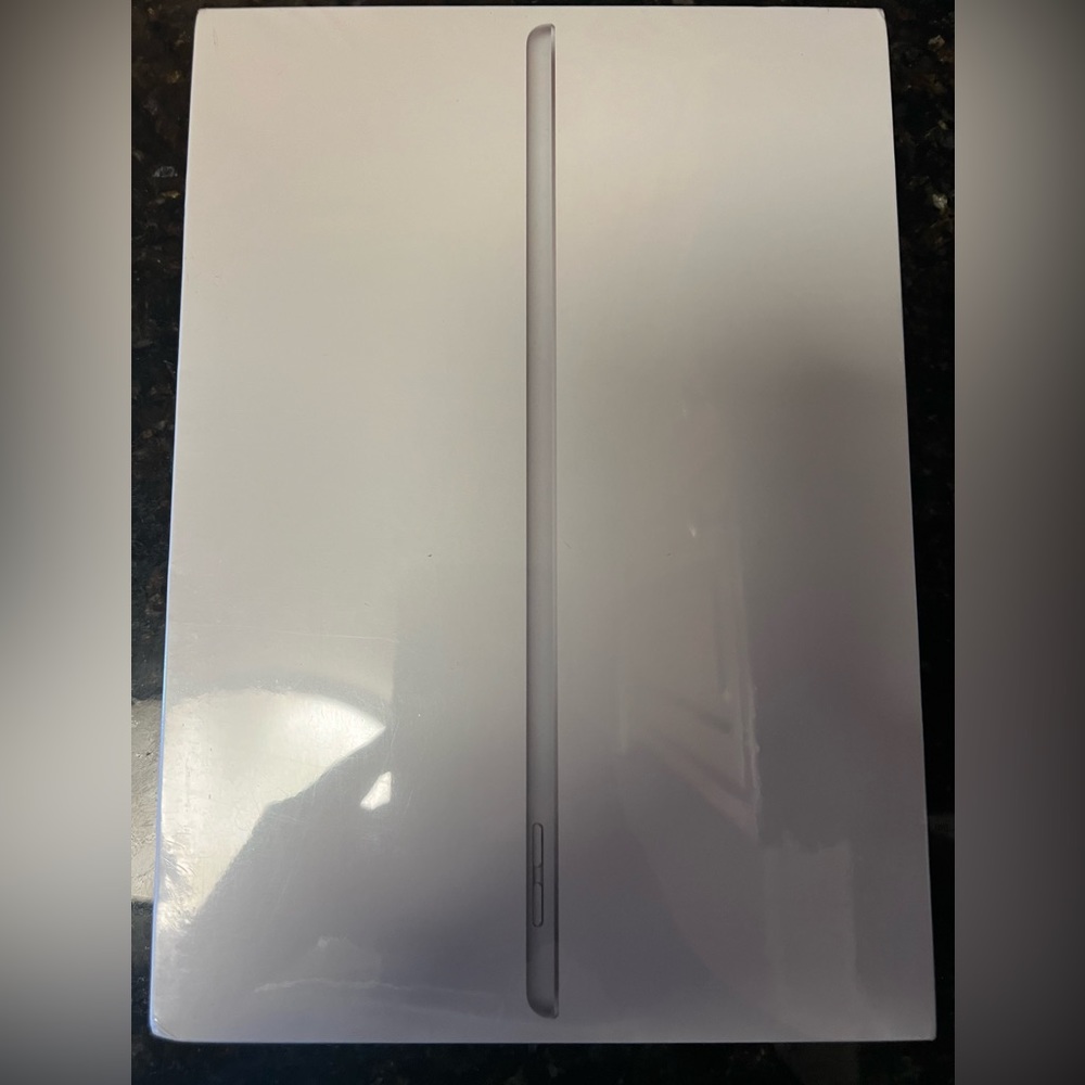 iPad ( 9th Generation) Wi Fi (256 GB)